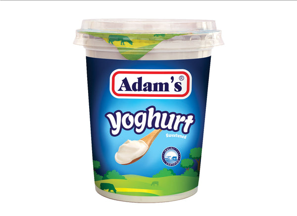 Adam's Yoghurt - 400 gm